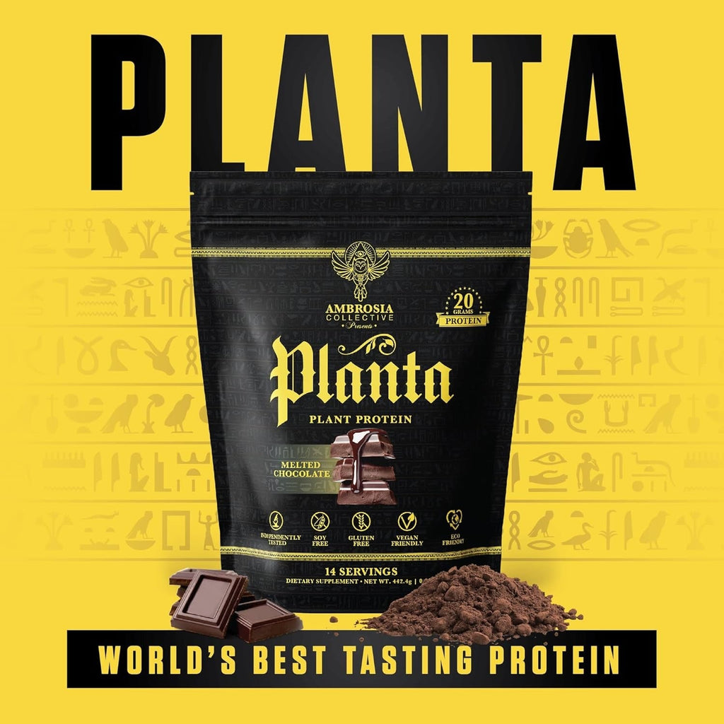 Chocolate Plant Protein