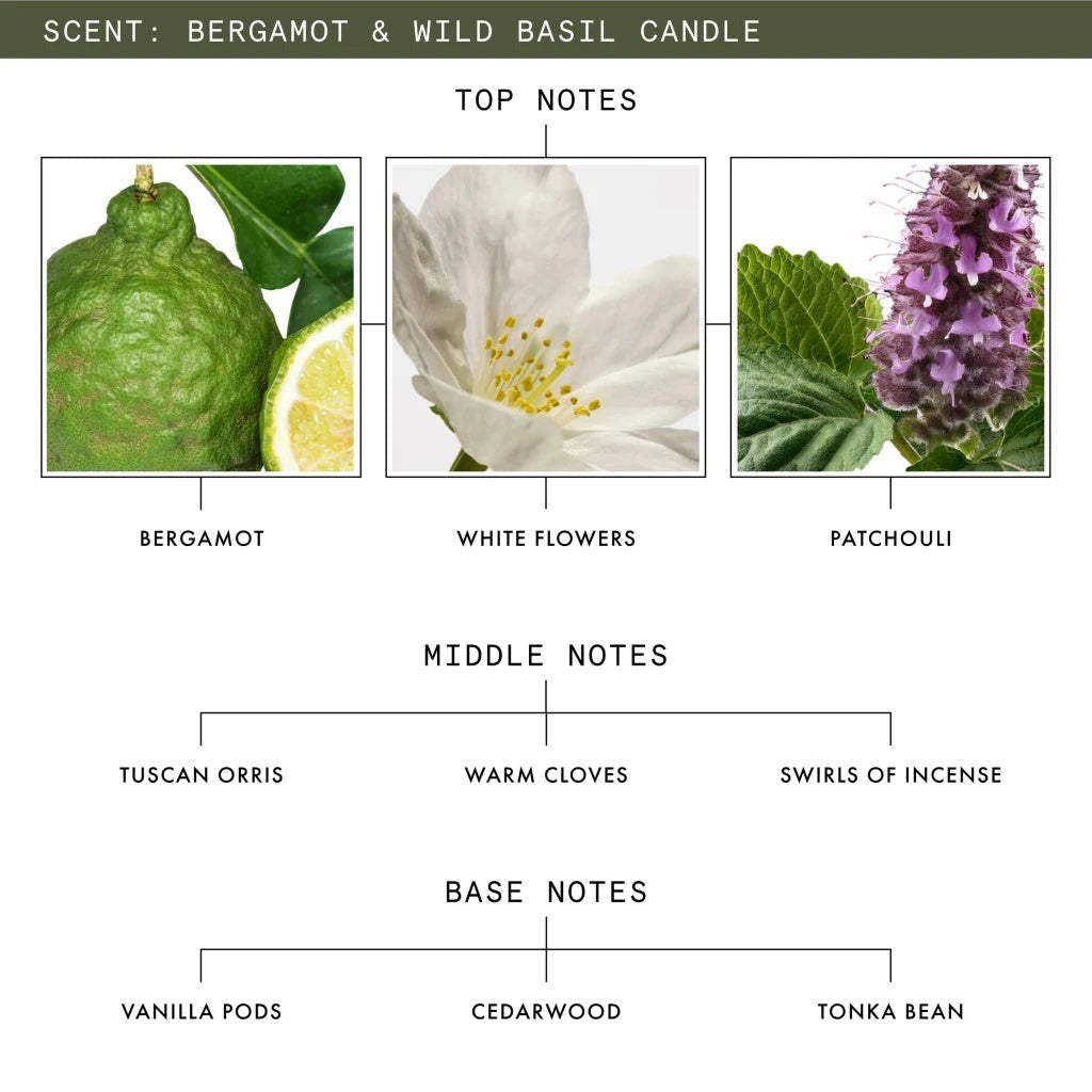 Bergamot & Wild Basil Luxury Scented Candle