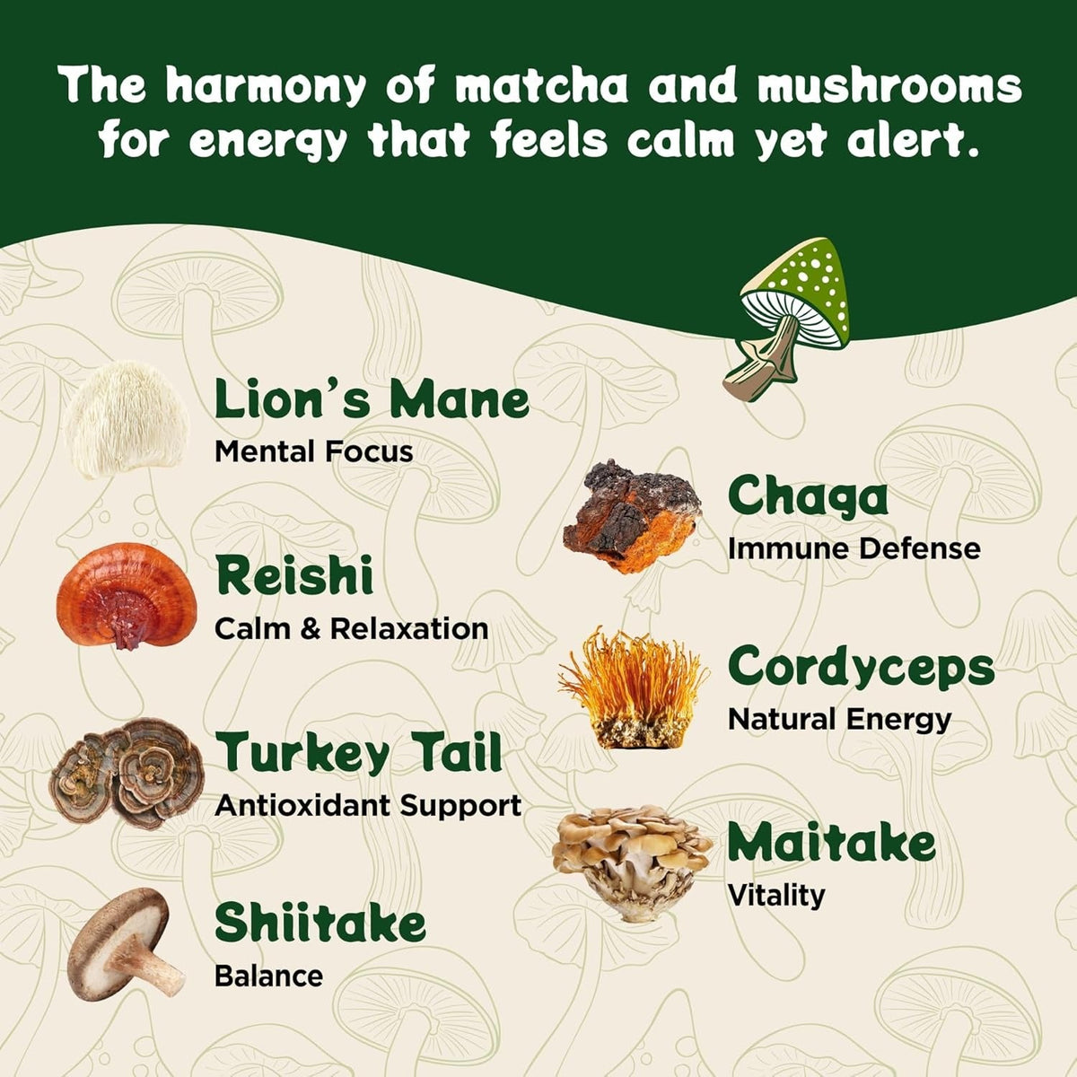 Functional Matcha with 7 Mushrooms, L-Theanine & Ashwagandha