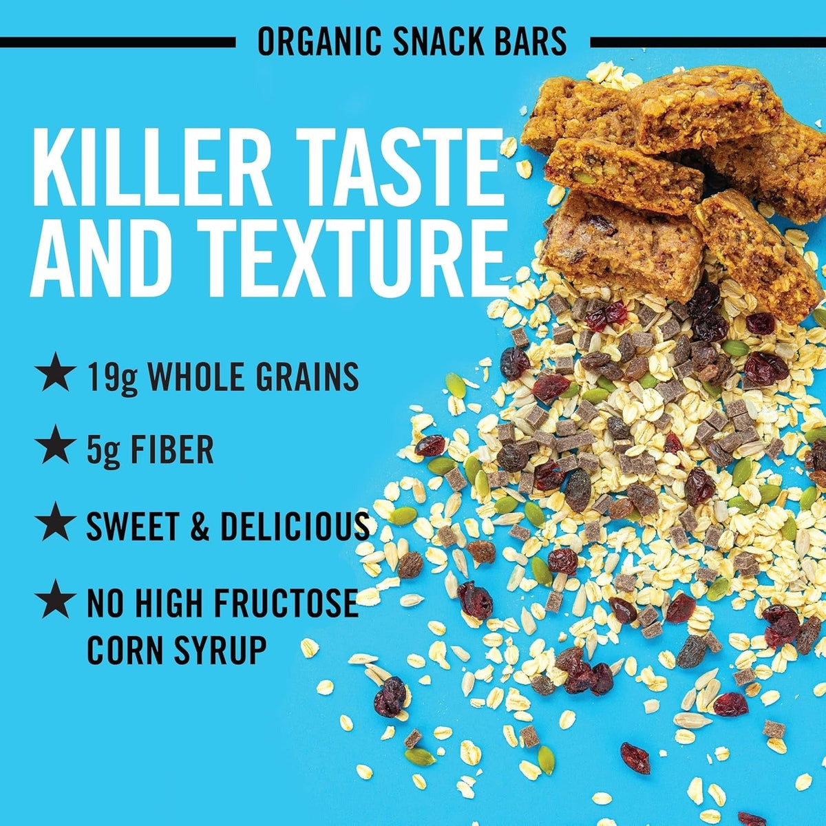 Organic Trail Mix Crumble Bars (4 CT)