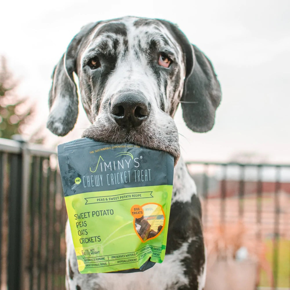 Sweet Potato And Peas Treats