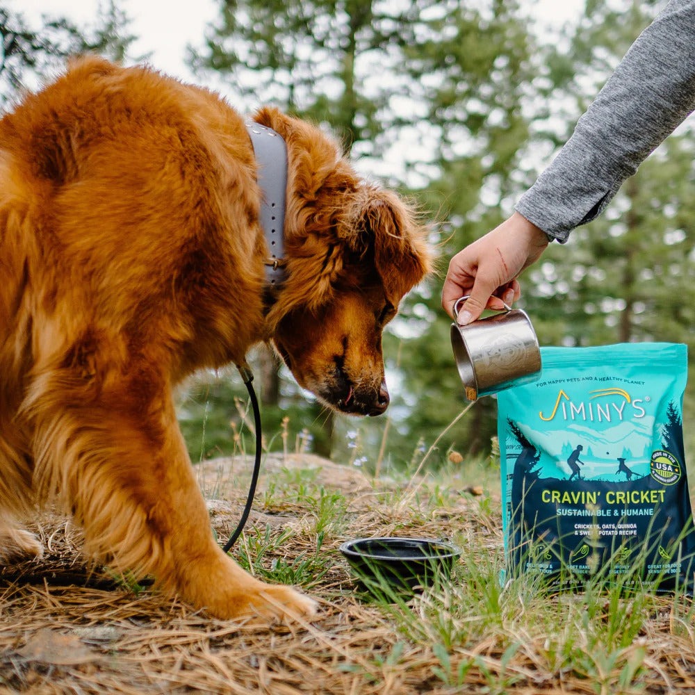 Cravin' Cricket Dog Food