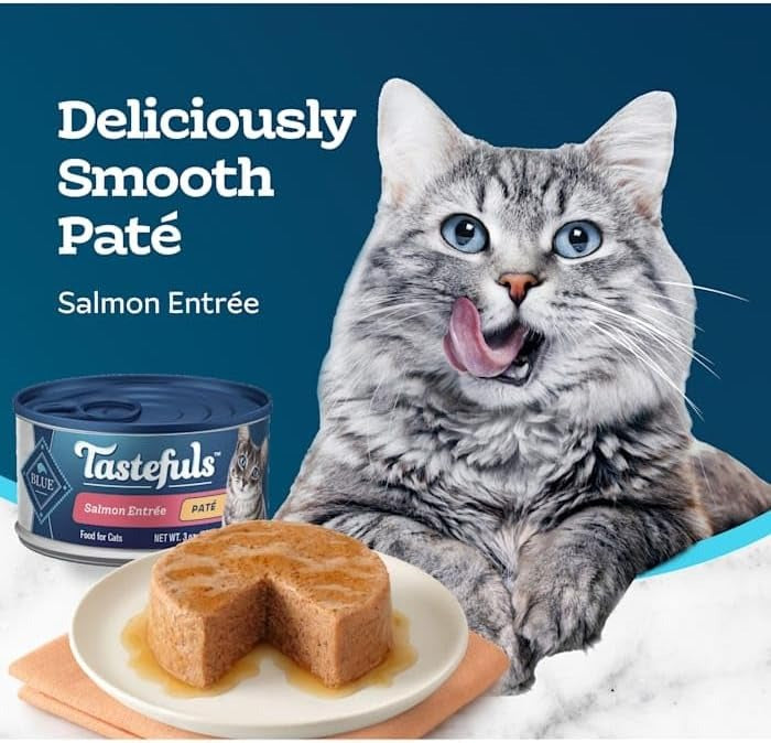 Tastefuls Salmon Entree Wet Cat Food (12 Pack)