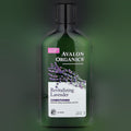 Nourishing Lavender Conditioner