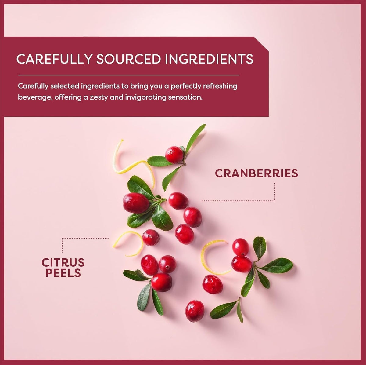 Kosher Cranberry Splash Tea Bags (20 CT)