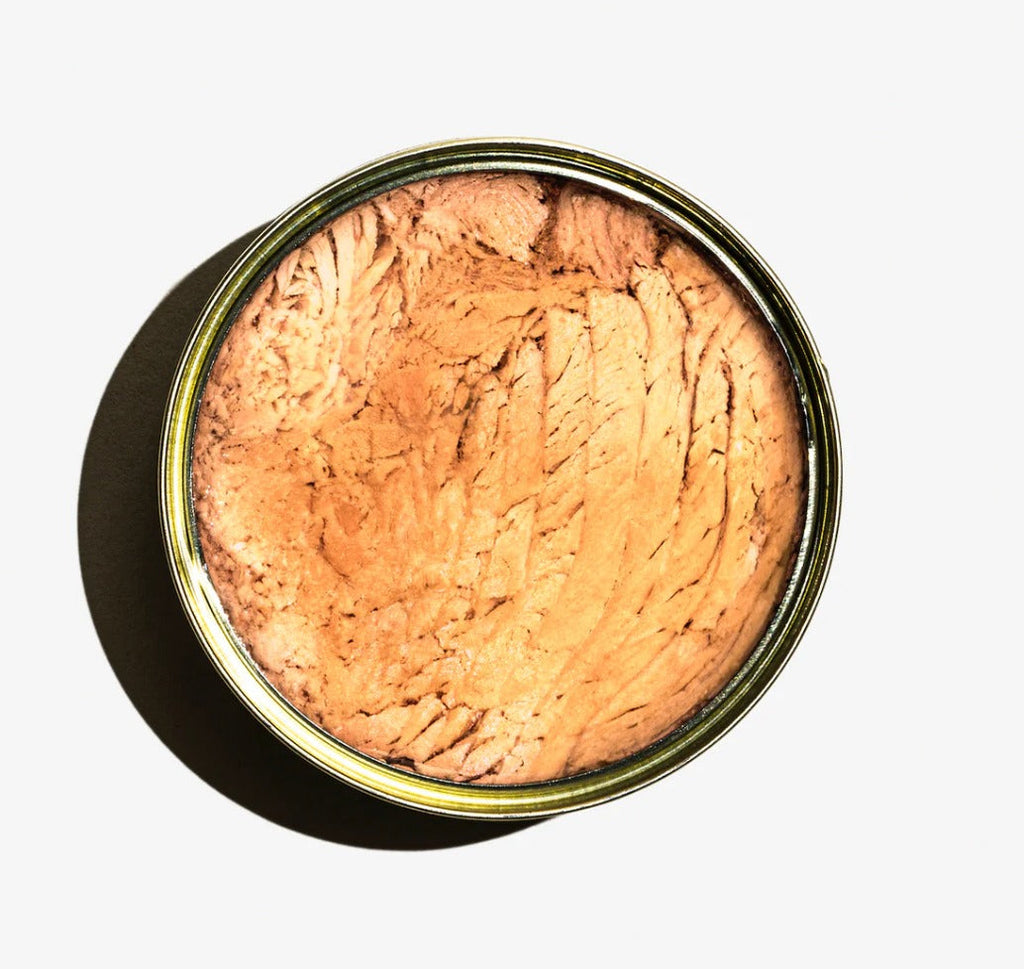 Albacore Tuna In Olive Oil