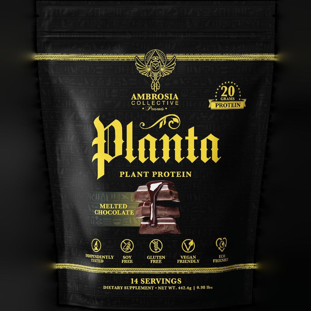 Chocolate Plant Protein