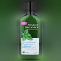 Peppermint Conditioner