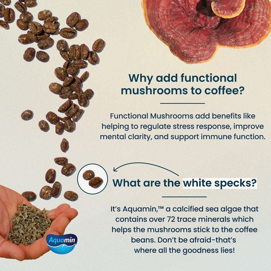 Functional Mushroom Medium Roast Whole Bean Coffee