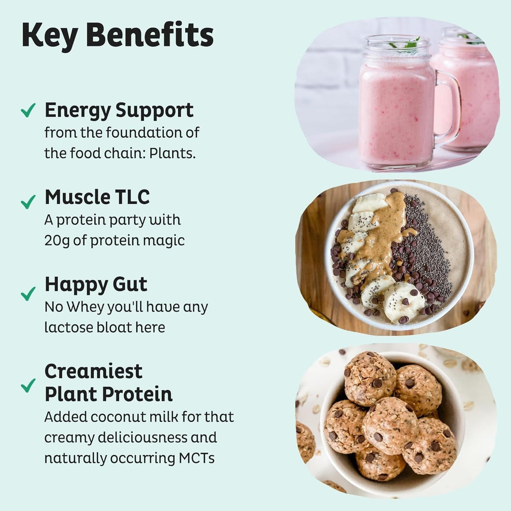 Organic Plant Based Protein Powder - Unflavored & Unsweetened
