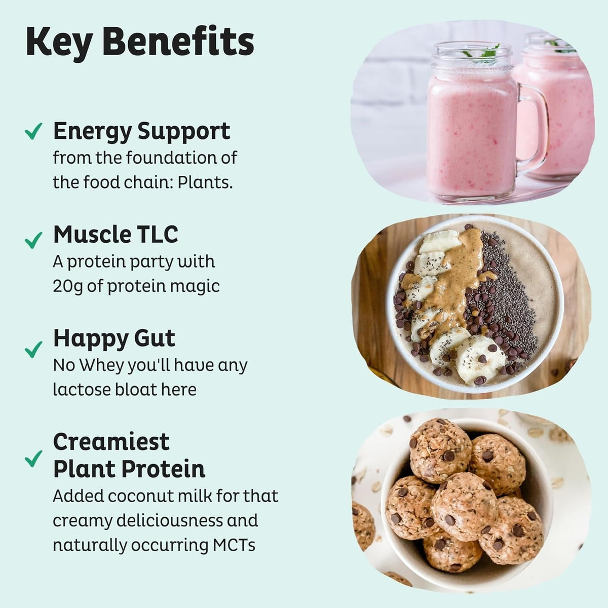 Organic Plant Based Protein Powder - Unflavored & Unsweetened