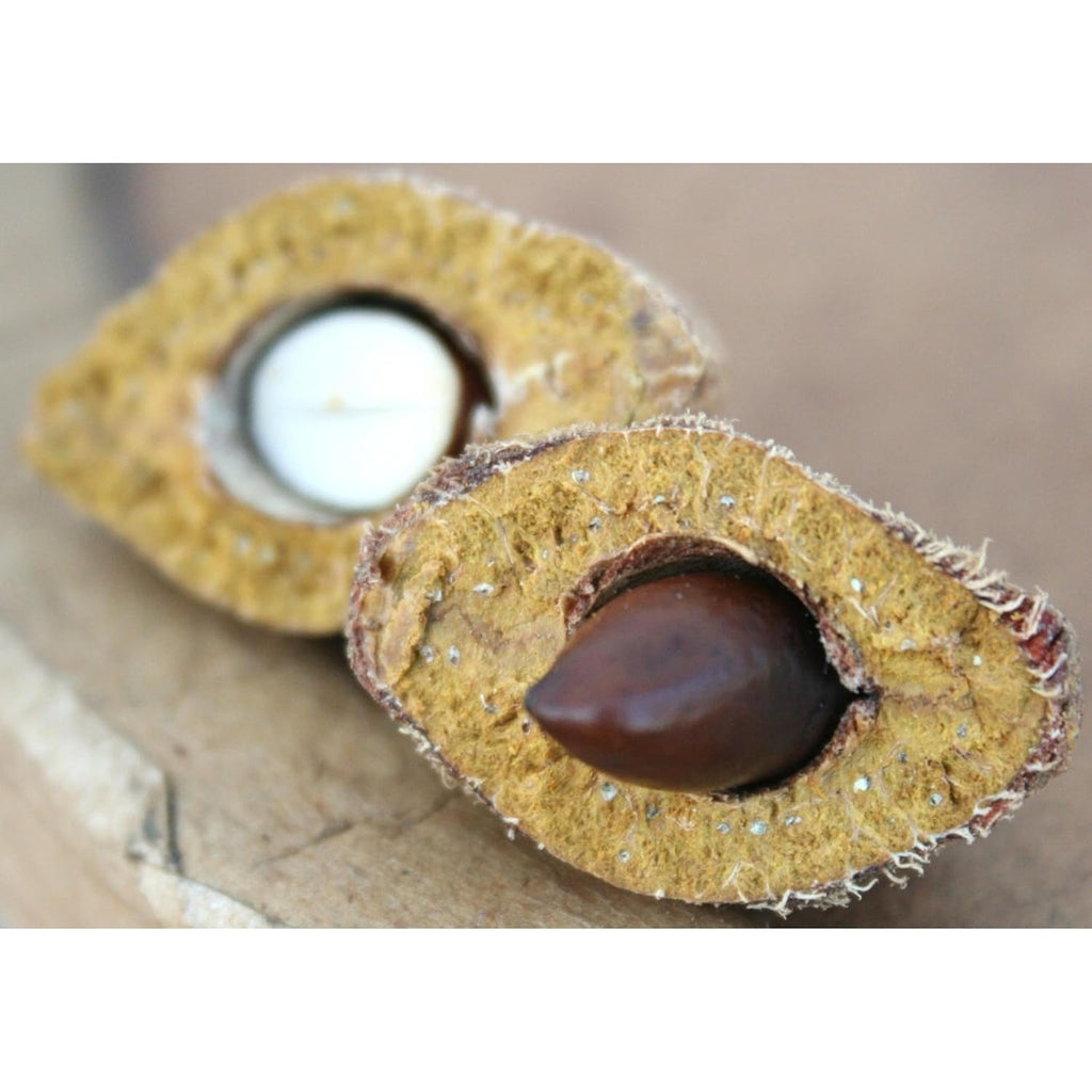 Dry Roasted Baru Nuts