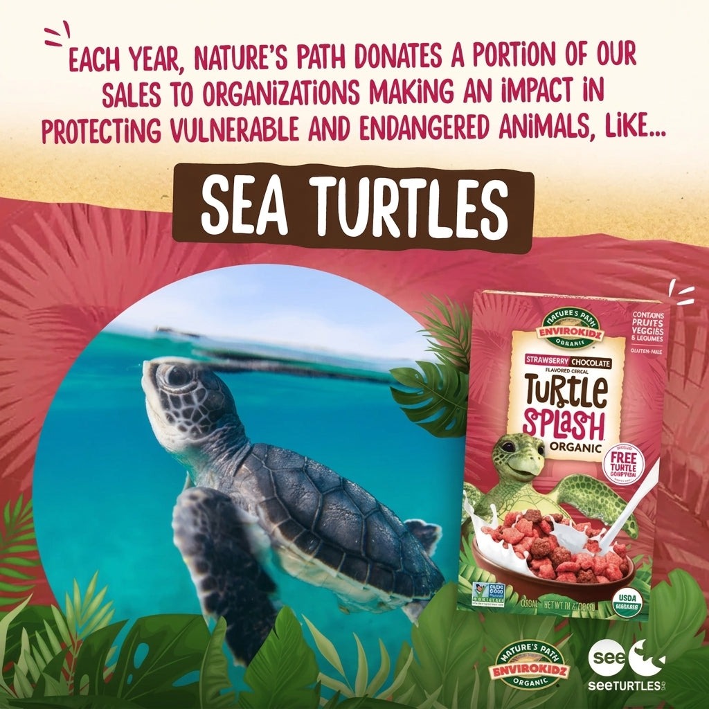 Organic Strawberry Chocolate Turtle Splash Cereal