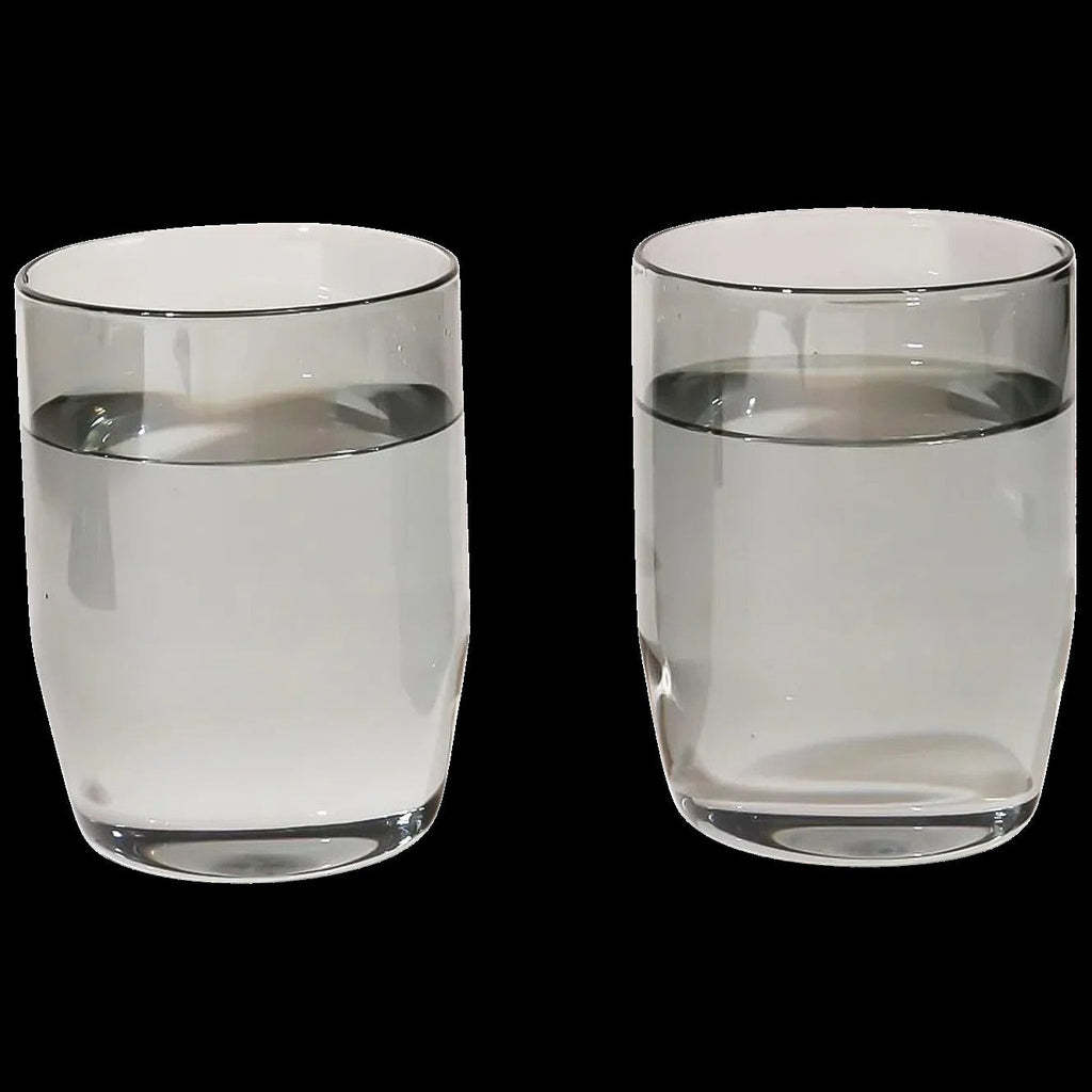 Century Glass Set Of Two (Gray)