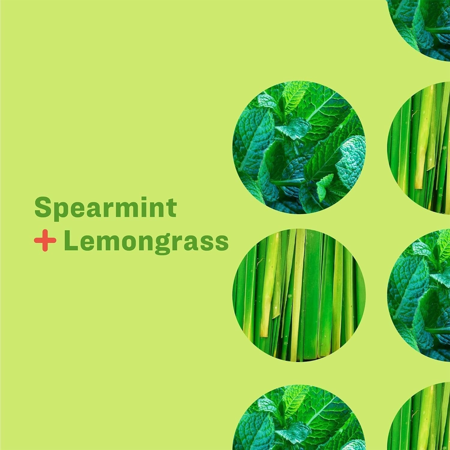 Hand Soap - Spearmint Plus Lemongrass