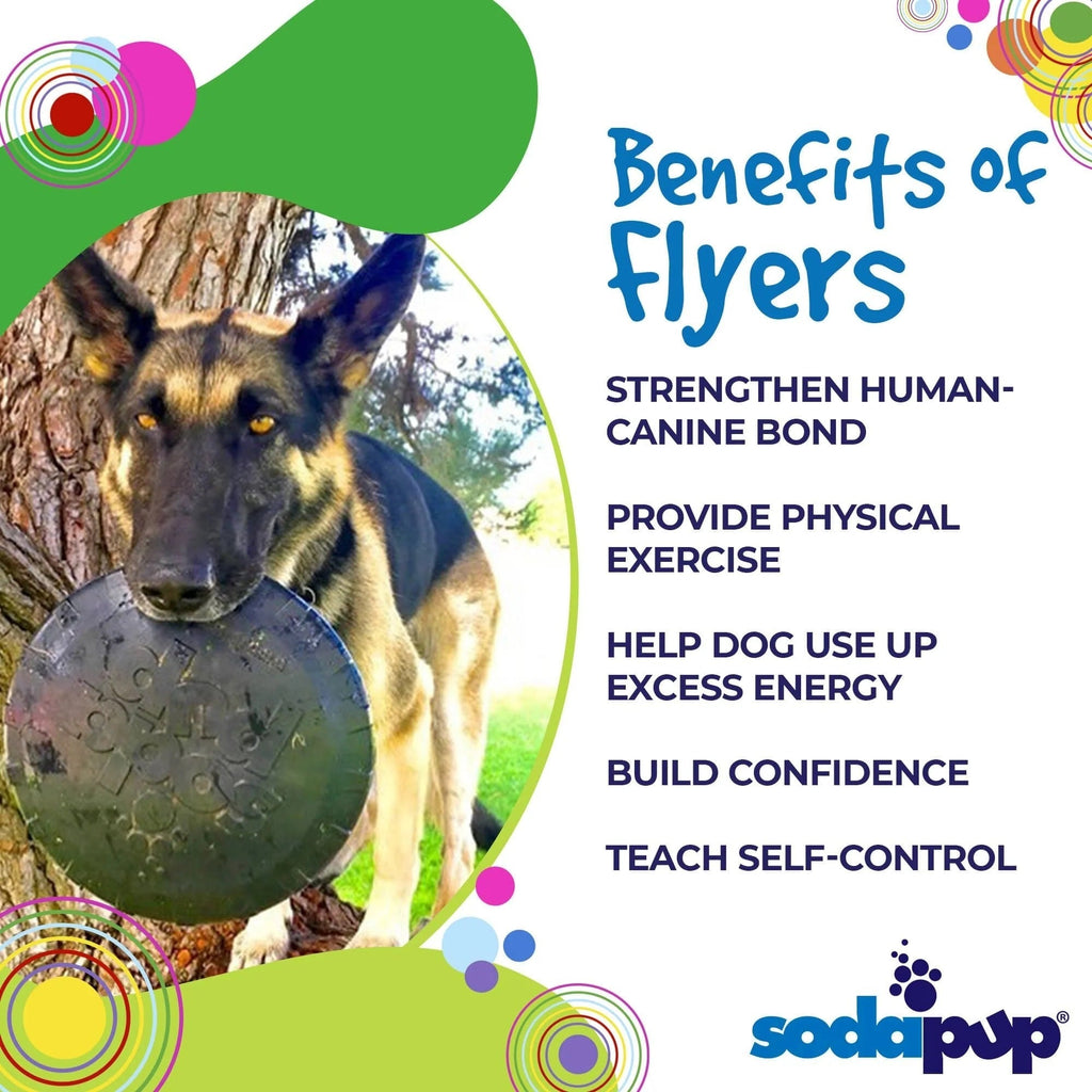 Magnum Bottle Top Flyer Dog Retrieving Frisbee - Large - Black