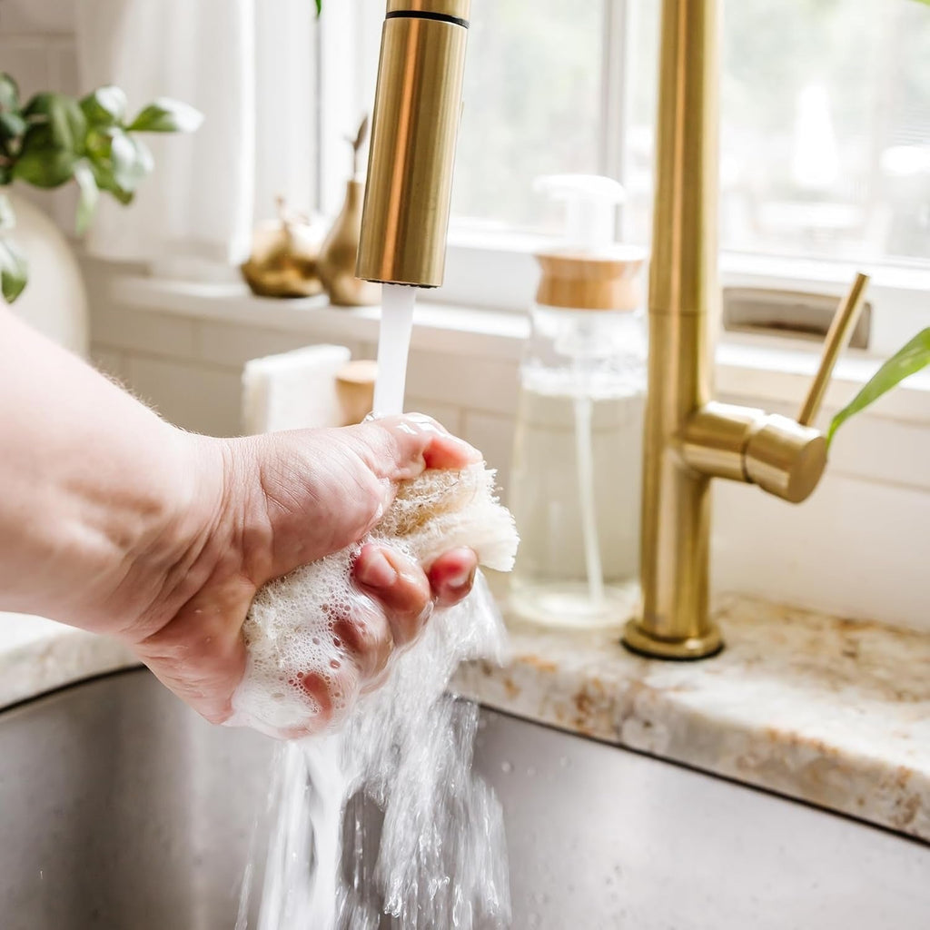 Natural Scrubber Sponge Duo Set (6 Pack)