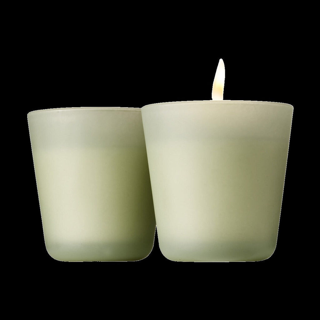 Coconut & Tropical Palm Candle