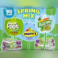 Fruit Snack Variety Pack (90 CT)