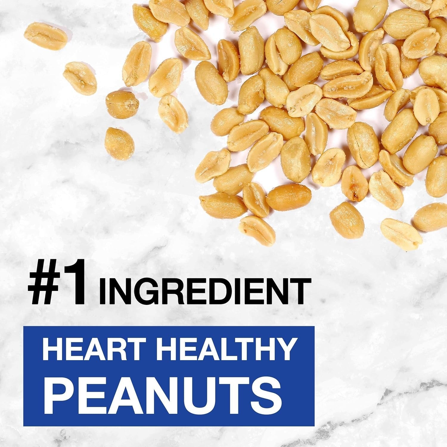 Dark Chocolate Nut Protein Bars (12 CT)