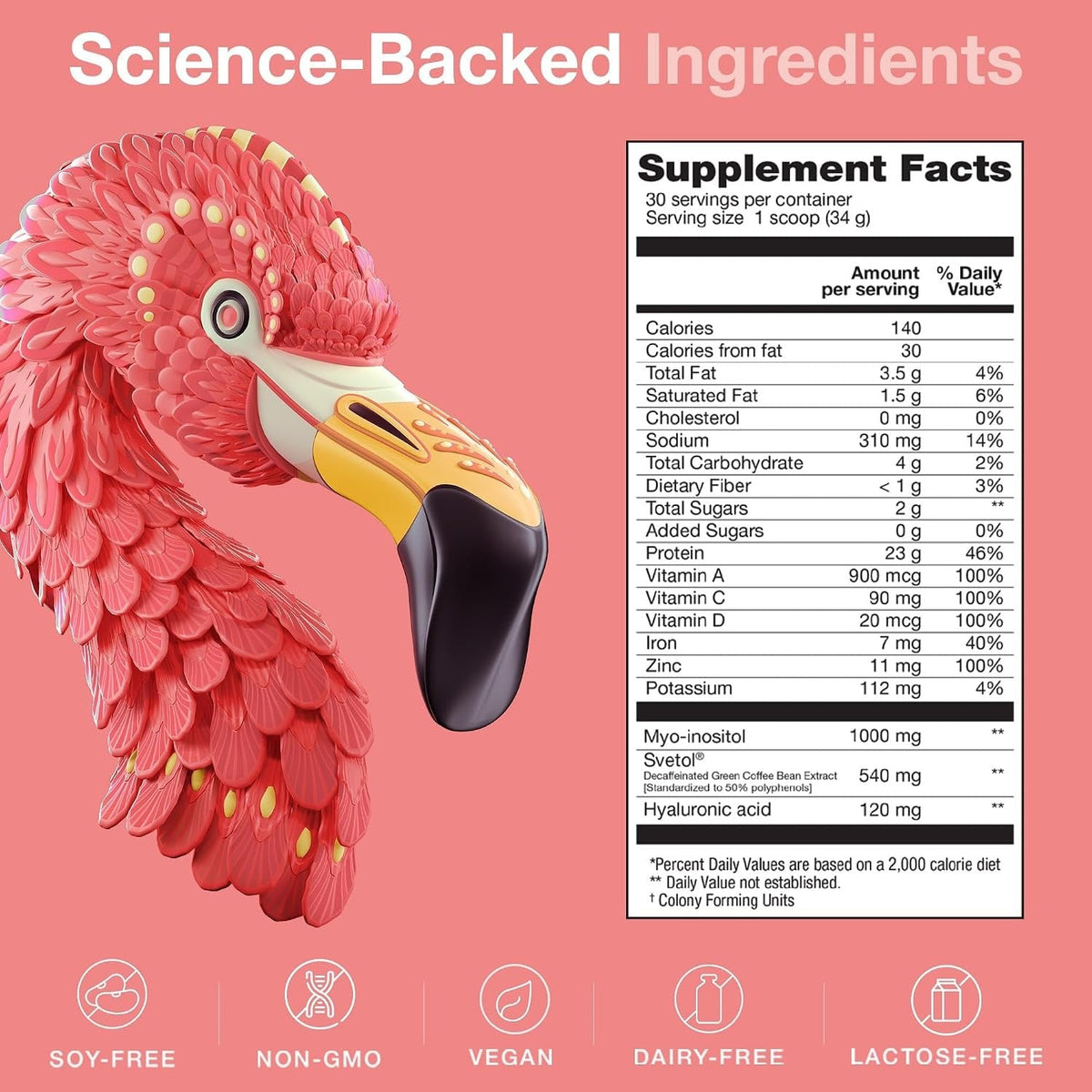 Fitmingo Vanilla Plant-Based Protein Powder