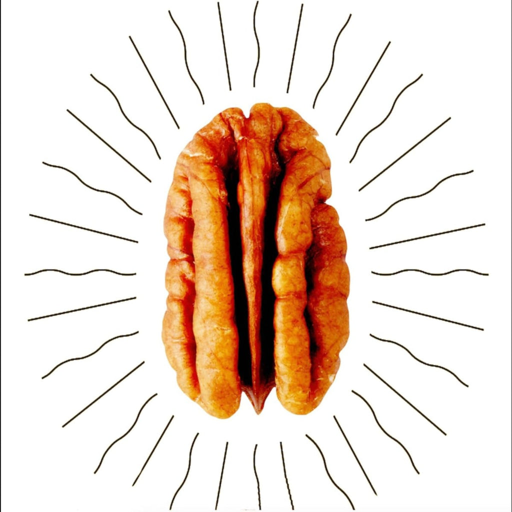 Mesquite Candied Pecans