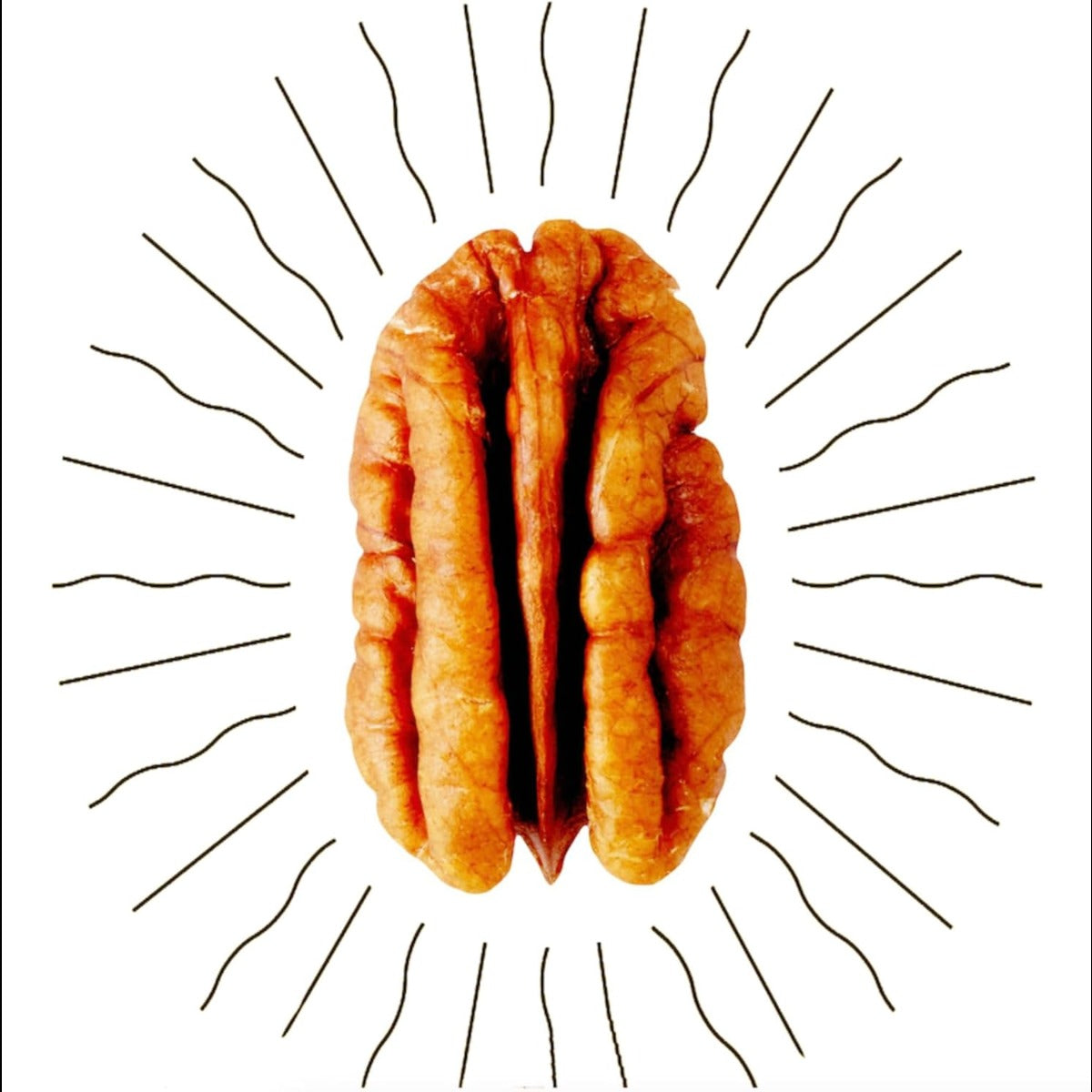 Mesquite Candied Pecans