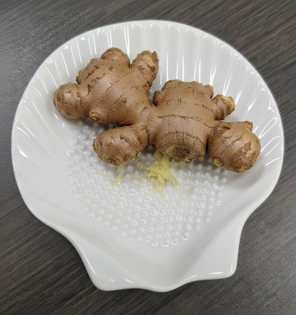 Porcelain Shell Grater