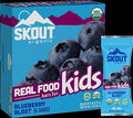 Blueberry Kids Bar