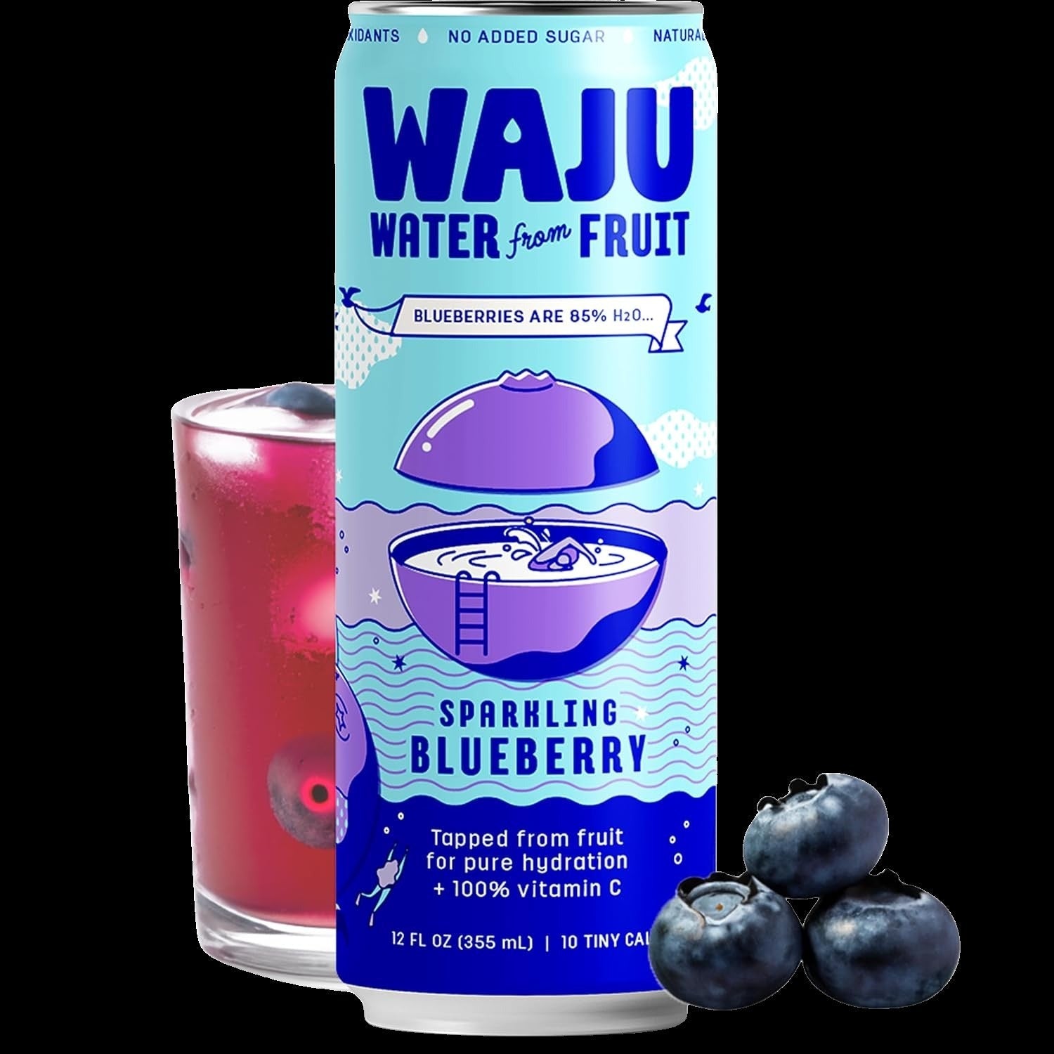 Blueberry Sparkling Fruit Water (12 Pack)
