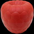 Raspberry Keeper Storage Container