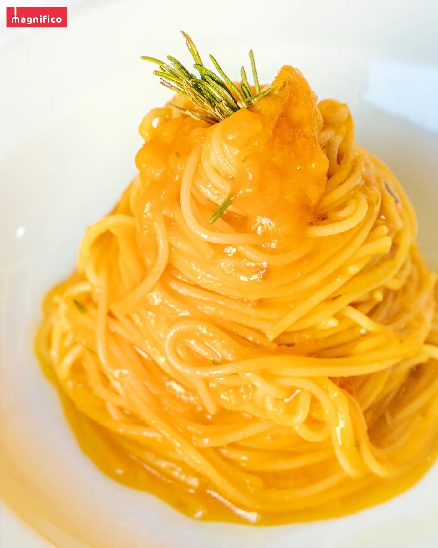 Angel Hair Pasta