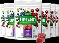 Blueberry & Chocolate Freeze Dried Bites (6 CT)