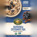 Organic Blueberry Cinnamon Flax Oatmeal (8 CT)
