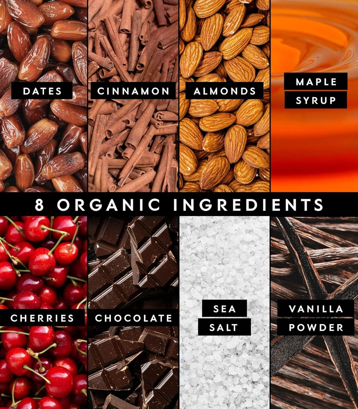 Organic Cherry Chocolate Chip Bar (12 CT)