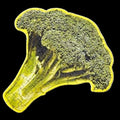 Little Puzzle Thing - Broccoli