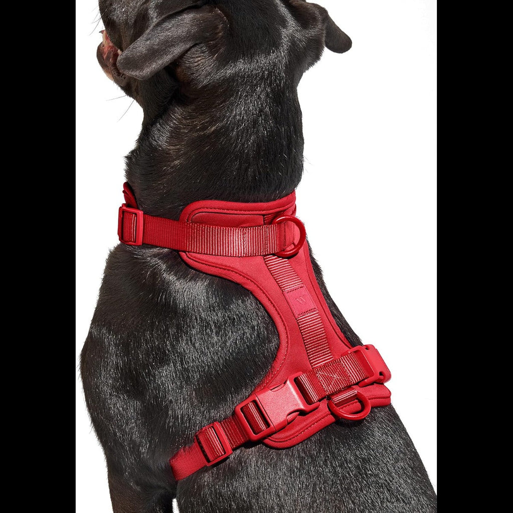 Extra Small Harness - Strawberry