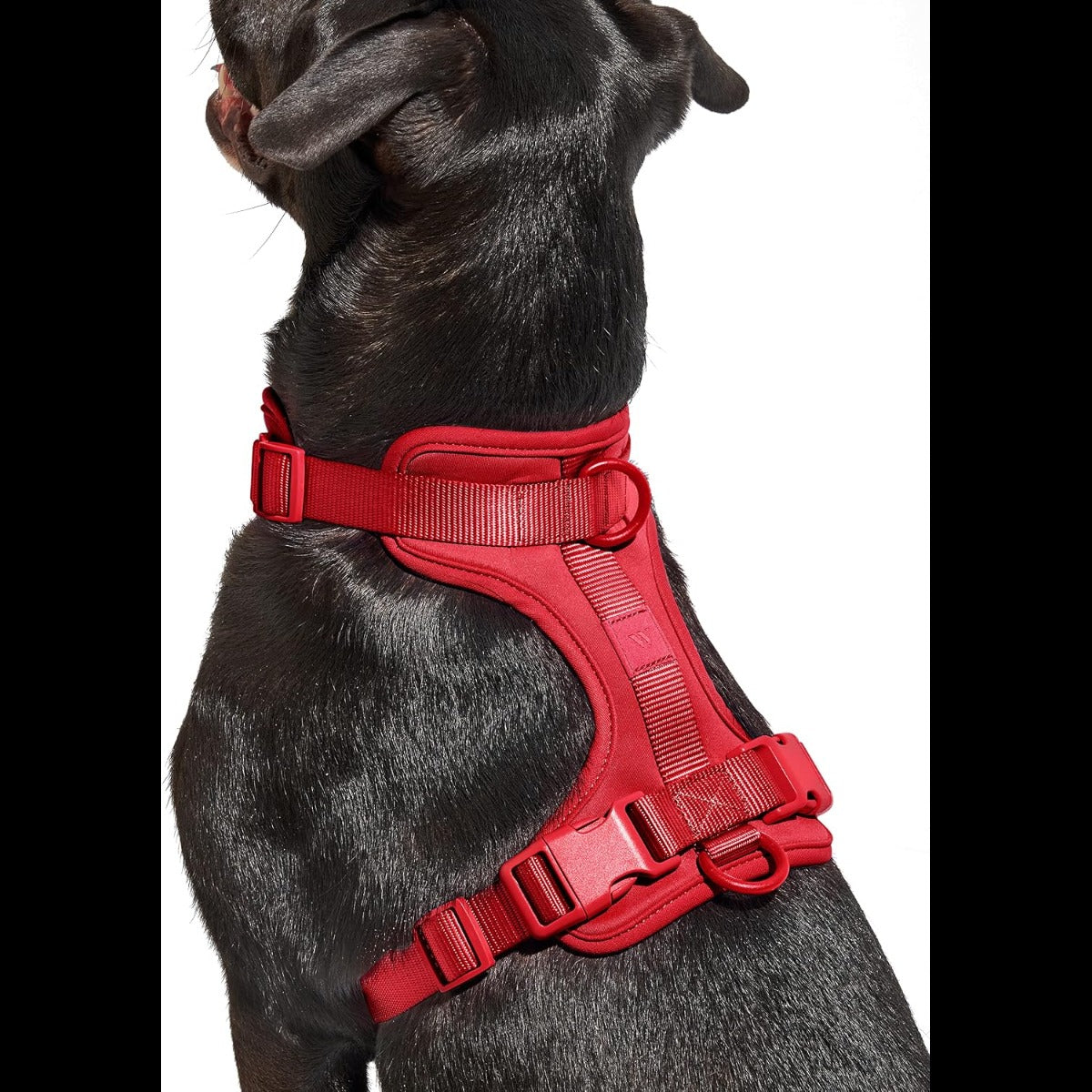 Extra Small Harness - Strawberry