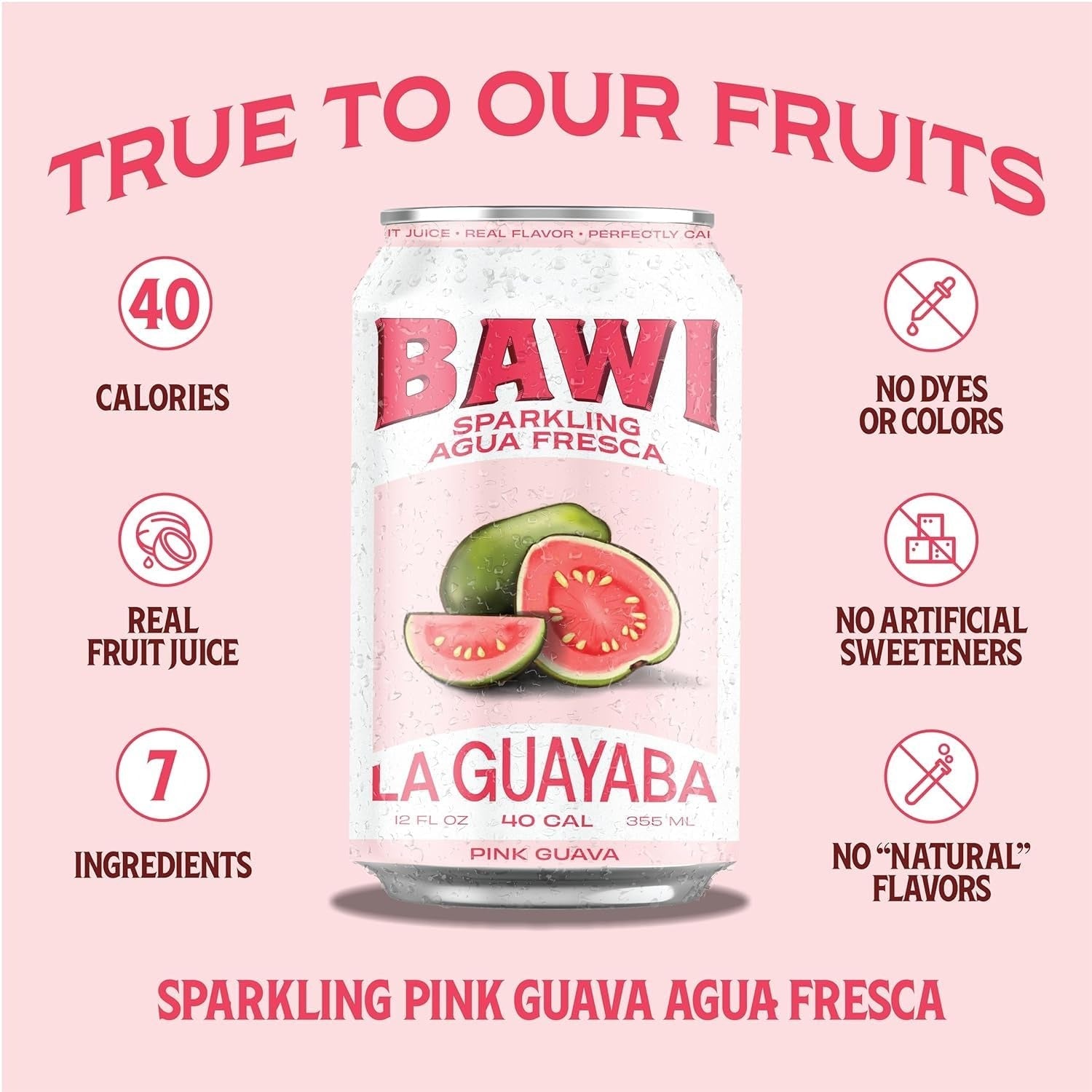 Sparkling Agua Fresca Variety (4 Pack)