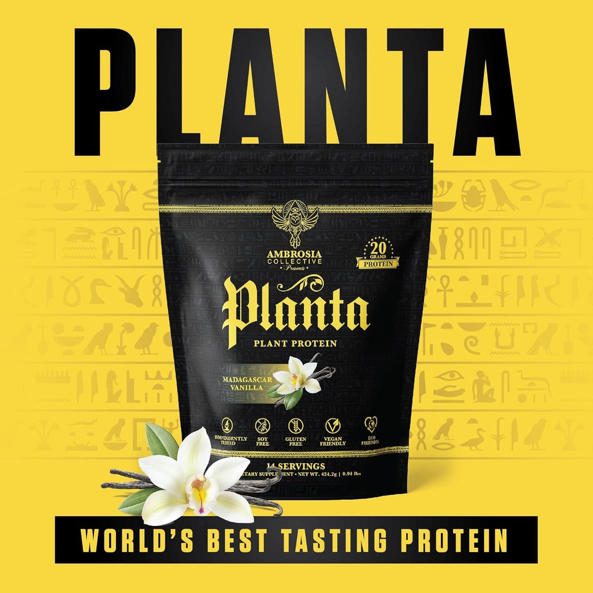 Vanilla Plant Protein