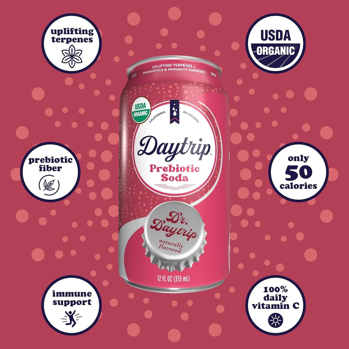 Organic Prebiotic Dr. Daytrip Soda (12 CT)