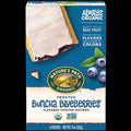Frosted Buncha Blueberries Toaster Pastries