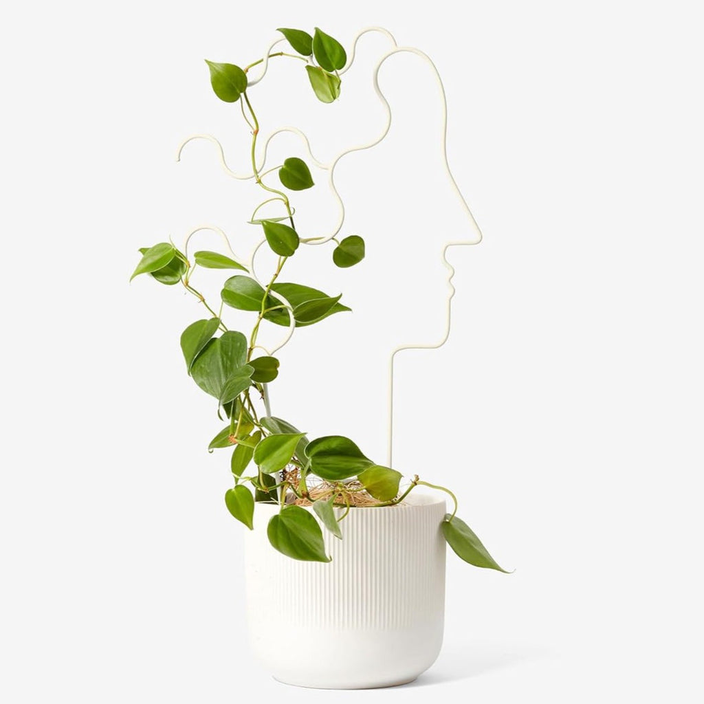 Plant Trellis - Human