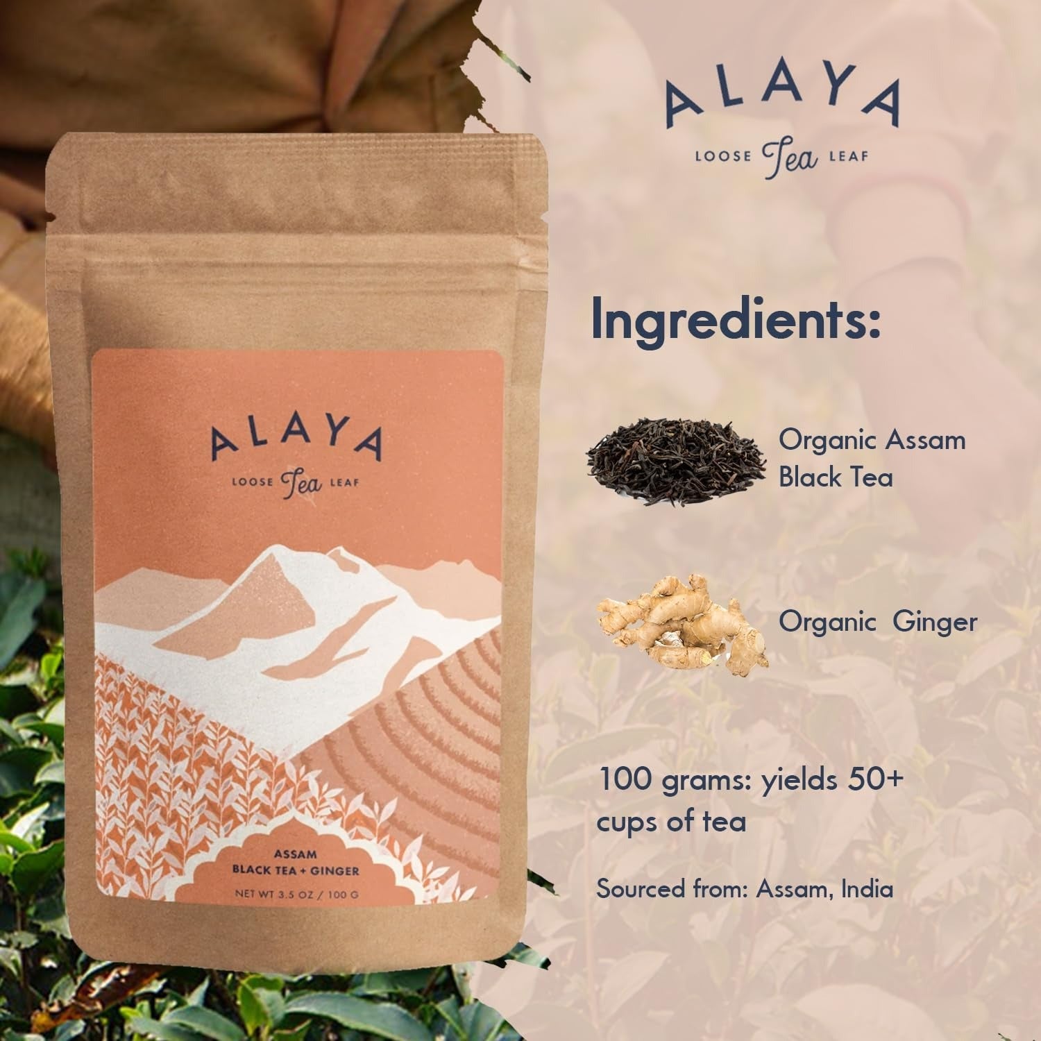 Assam Black Tea With Ginger