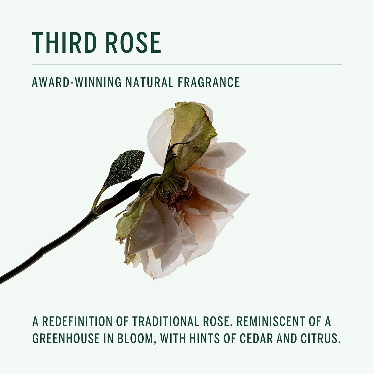 Third Rose Natural Body Wash