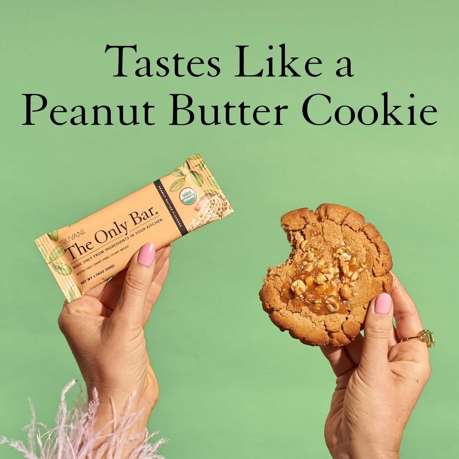 The Only Bar - Peanut Butter Snack Bar (12 CT)