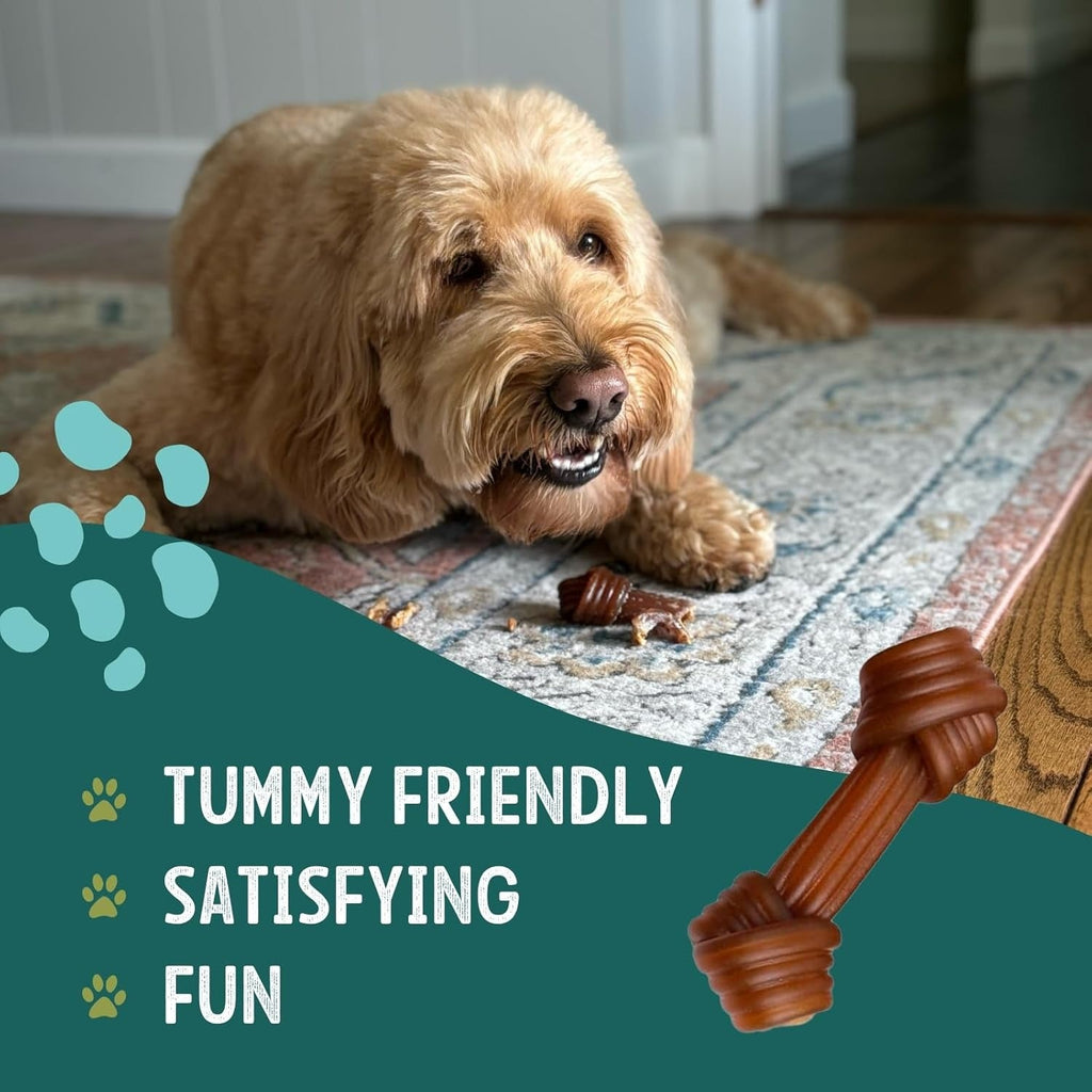 Hideless Chews Chicken Flavor Dog Treat - Large