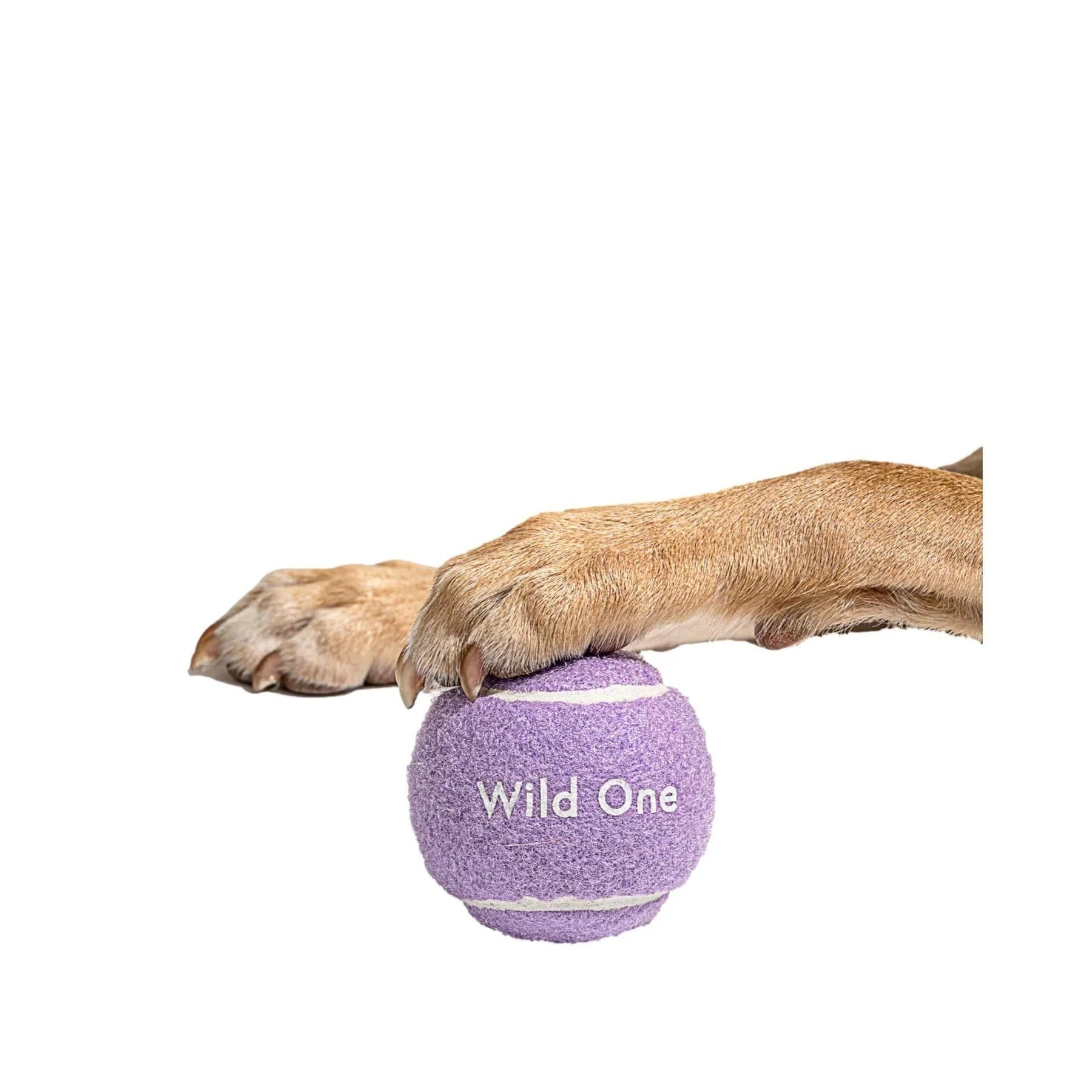 Tennis Balls - Standard - Lilac (4 CT)
