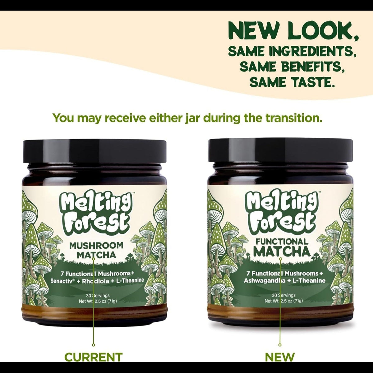 Functional Matcha with 7 Mushrooms, L-Theanine & Ashwagandha