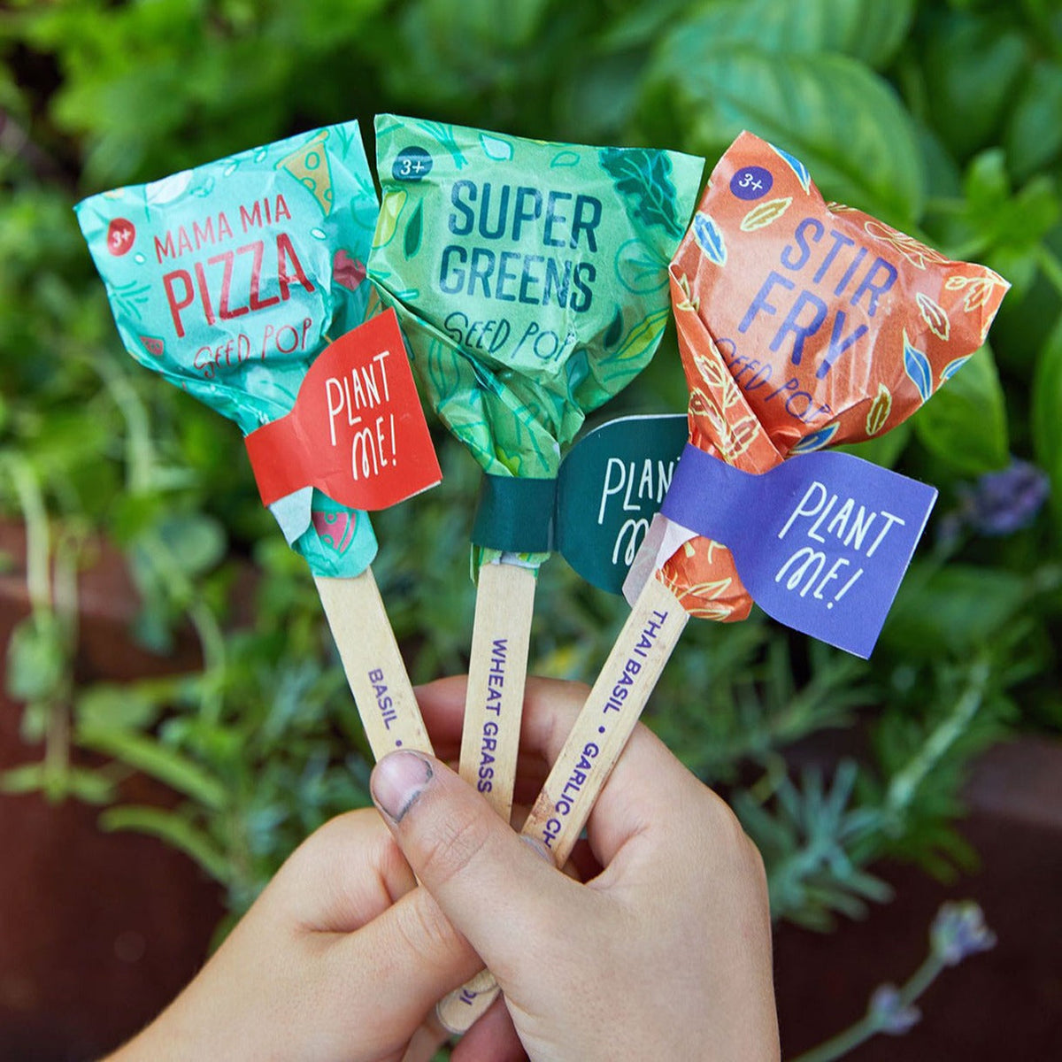 Seed Pop - Super Greens